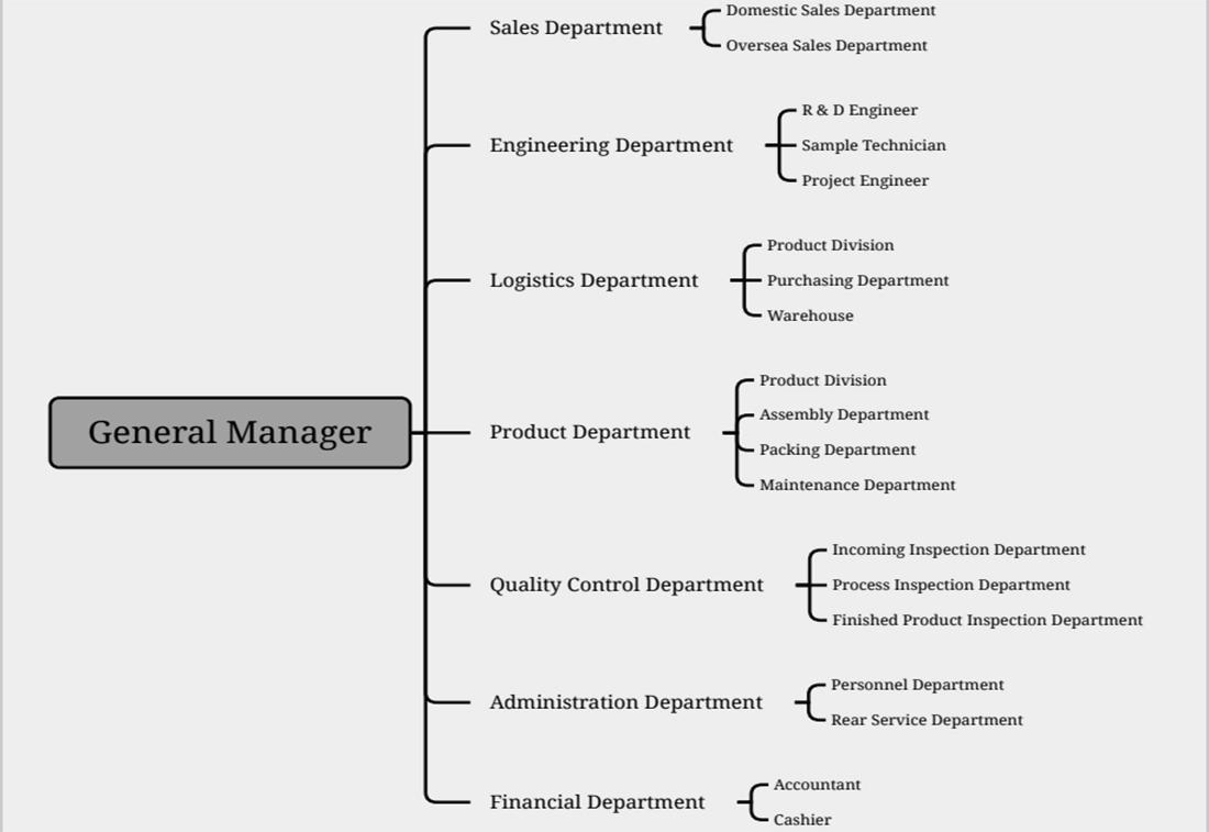 Company Structure